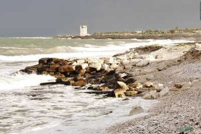 L'oasi di Torre Calderina: fra terra e mare un rifugio per piante e animali rari